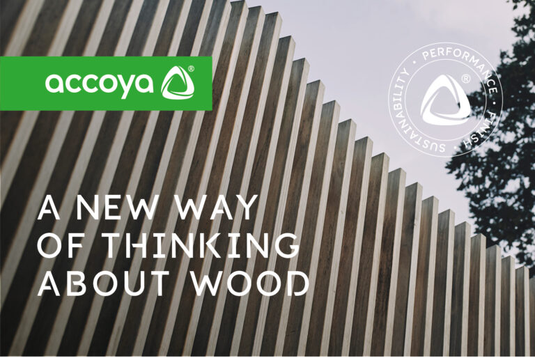 timber doors,accoya doors,accoya front doors,timber front doors,french doors,bespoke doors,timber windows,timber doors and windows,timber doors external